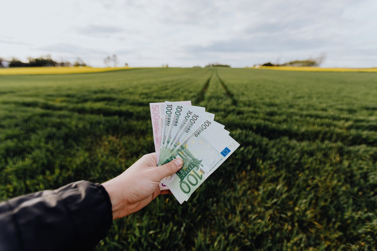 Ce înseamnă libertatea financiară și când o poți atinge