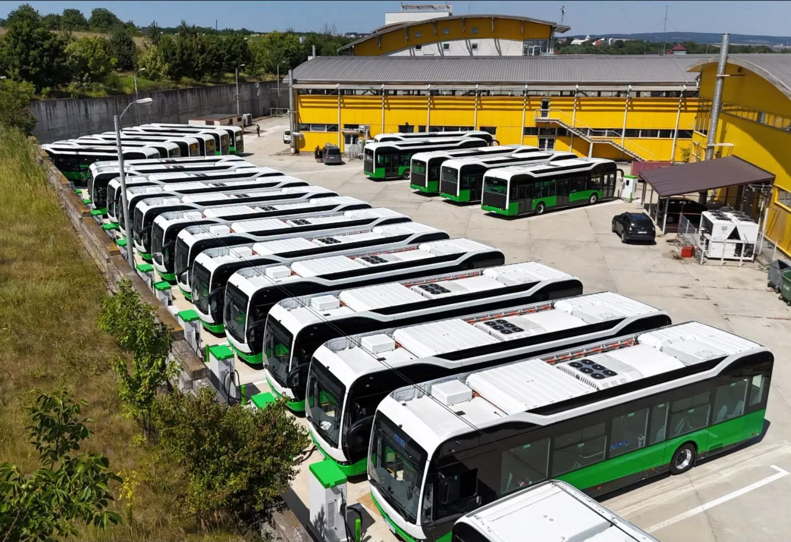 administratori Transport Public Bacău